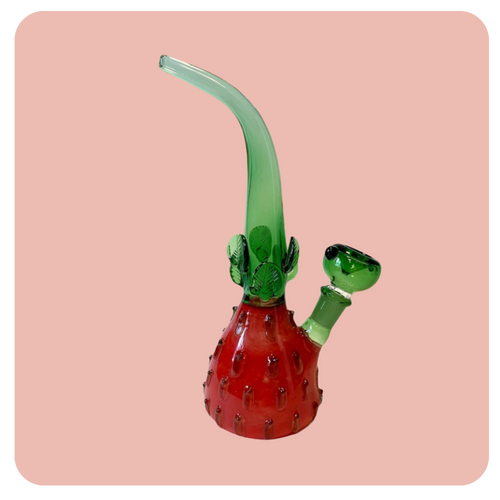 Strawberry Bong / Water Pipe Cute Online Smoke Shop Head Shop Bloomfield /